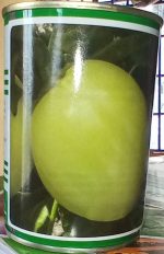 Technisem Djamba Eggplant Seeds – 50g