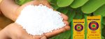 Urea Fertilizer (Indorama | 50kg | 46% Nitrogen) | Ordinary - Image 2