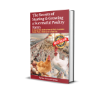 The Secrets of Starting and Growing A successful Poultry Farm (341 Pages) – 2020 Edition - Image 5