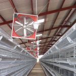 3TIER BATTERY CAGE