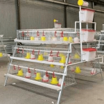 Brooding Cage for Poultry Birds – 400 Chicks
