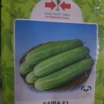 Saira F1 Cucumber Seeds (East West Seed | 500 Seeds)