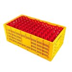 Chicken Egg Transfer Box (ARI Brand | 300 Eggs Capacity) - Image 2