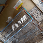 Mini Battery Cage -16 Layers Capacity