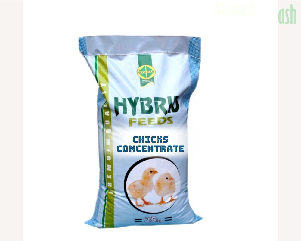 CHICH.jpg Chicks Concentrate (Hybrid Brand) – 25Kg Bag - Image 1