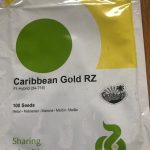 Carribean Gold Rz | Melon Seeds