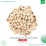 Cowpea Seeds (Black-Eyed Peas | Premium Varieties)