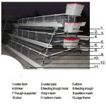 Imported Battery Cage with PVC feeder – Various Birds Capacity- (Free Installation above 10unit)