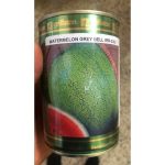 Grifaton GreyBell Watermelon Seeds |  Hybrid - Image 2