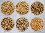 Ring Die for Feed Pelleting Machine (2mm | 3mm | 4mm | 9mm) - Image 3