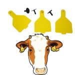 Livestock Ear Tag (For Cattle, Pigs, Rabbit and Goats) – Identification Tool – LRS Brand - Image 2