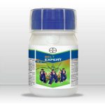 Belt Expert | 100ML