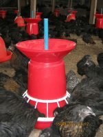 Hanging Plastic Feeder For Poultry (8kg Feed Capacity) - Image 2