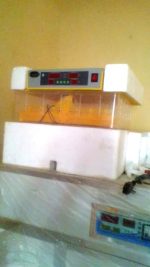 Egg Incubator ( 64 |128 | 192 | 256 | 320 | 380| 1000 Eggs Capacity) – Electric Powered/Temperature and Humidity Alarm/Automatic Egg-Turning Sensors. - Image 7