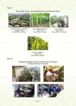Poultry Venture: Production, Business, and Benefits - Image 3