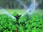 Irrigation Sprinkler (For Surface Irrigation) - Image 4
