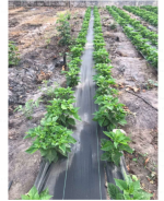 Weeding Mat – 1m x 100m - Image 4