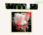 Seed Planter – Double Compartment - Image 3