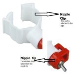 Clip Nipple – (Pack of 100 Pieces) - Image 2