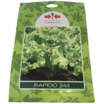 Rapido 344 Lettuce seeds | 10g |East West Seeds