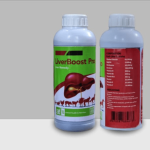 Liver Boost – Premium Liver Health Support Supplement