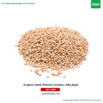Sorghum Seeds (Premium Varieties | 1Kg |50kg Bags)