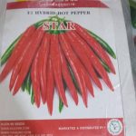 Star F1 Hybrid Hot Pepper