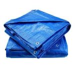 Offer: Tarpaulins – 20ft x 20ft x 4ft  + Free 1000 pieces of fingerlings