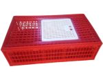 PLASTIC CRATE FOR CHICKEN TRANSPORTATION - Image 3