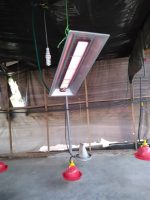 Gas Brooder with Infrared Functions(1000 | 2000 Chicks Capacity) - Image 6