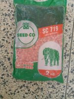 Seed Co Maize Seeds  | (SC 719 Late Maturity) | (SC 649 Medium Maturing) | (SC526 Early Maturing) | 2KG