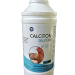 CALCITOM – Premium Liquid Calcium Supplement for Poultry | Enhances Eggshell Quality & Bone Strength