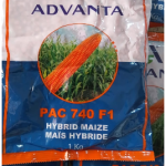Advanta PAC 740 F1 Hybrid Maize Seed – High Yield Hybrid Corn Seed (1kg)