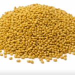 Alfalfa seeds | 1kg