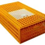Plastic Transport Crate for Live Poultry with Access Door