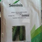 Darina Cucumber seeds | 10g | Seminis brand