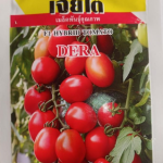 Dera Tomato Seed – High Yield Hybrid /5g