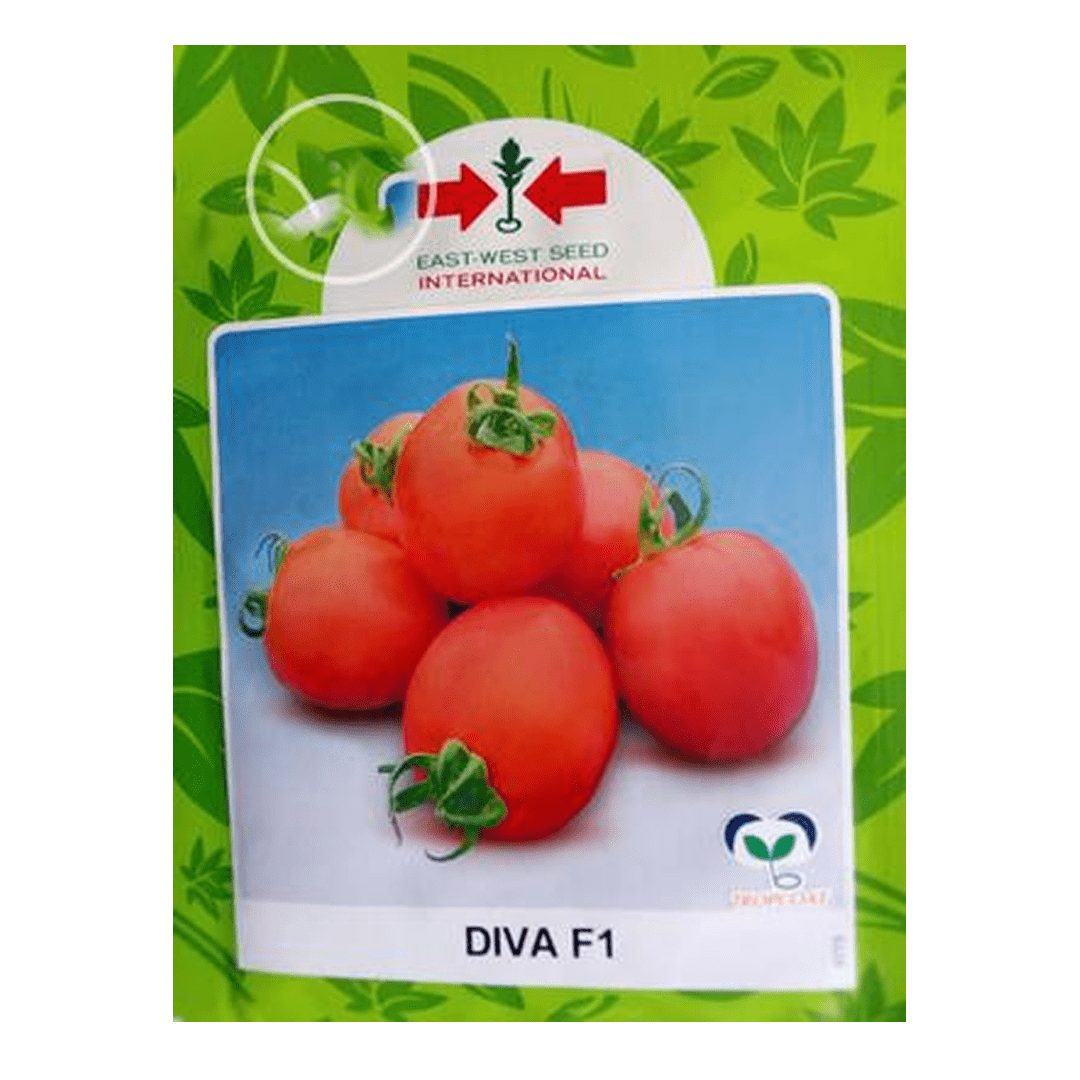 diva1.jpg Diva F1 Tomato Seeds (East West Seed | 5g) - Image 1