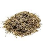 Rosemary | Wellgrow Seeds