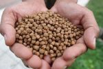 Aquafeed Production, Economics; Health Impact on Fish Management (2020 Edition) - Image 2