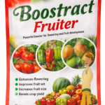 Boostract Fruiter | 50g per sachet