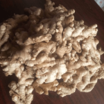 Ginger Seed (High-Yield Planting Rhizomes) Per KG