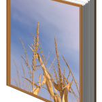 Farm Management Book (Livestock and Crop Farms | 2022 Edition)