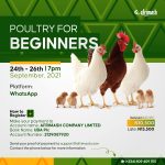 Poultry Farming for Beginners (3 Days Training)