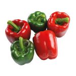 Kaveri F1 Sweet Bell Pepper | Red | 500 Seeds - Image 3