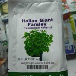 Italian Giant Parsley | Hybrid| 4g (1500 seeds)