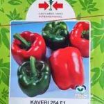 Kaveri F1 Sweet Bell Pepper | Red | 500 Seeds