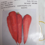 Kuroda Carrot Seeds