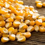 Sammaz Maize Seeds (Premium Varieties | 5kg | Sammaz 75T | Sammaz 74 | Sammaz 52Tela