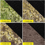 Weeding Mat – 1m x 100m - Image 2